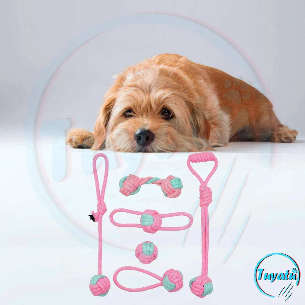 6 упаковок жевательная игрушка для собак|Игрушки собак| |