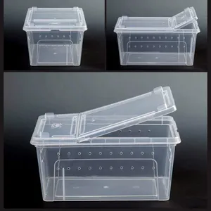 Гусеничный ящик для кормления домашних животных, гусеничный Рог улитки, лягушки, насекомых, муравьи, фермерский дом, 1 шт., паук-Скорпион