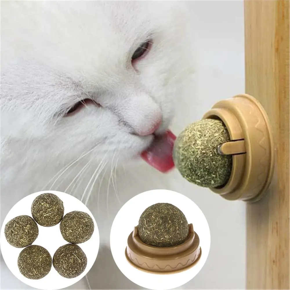 Hot Practical Healthy Mint Ball Funny Cat Favor Catnip Ball Kitten Coated Mint Pets Supply Cat Toy