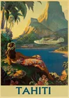 Таити райский остров Воздушный самолет путешествия железная живопись металлическая пластина 12x8 дюймов жестяной знак