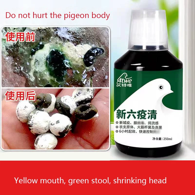 

Pigeon diarrhea water green stool pigeon colon inflammation parrot nutritional supplement 250ml mouth yellow