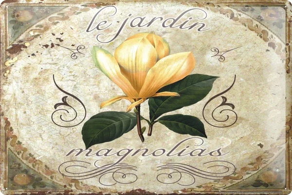 

Tin Sign Flower Shop Decoration Magnolia