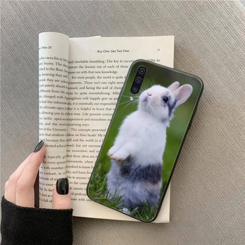 

animal Cute White Baby Rabbits Phone Case For Samsung galaxy A S note 10 7 8 9 20 30 31 40 50 51 70 71 21 s ultra plus