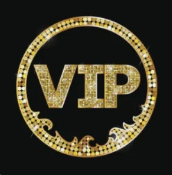 

vip bag payment for dear customers