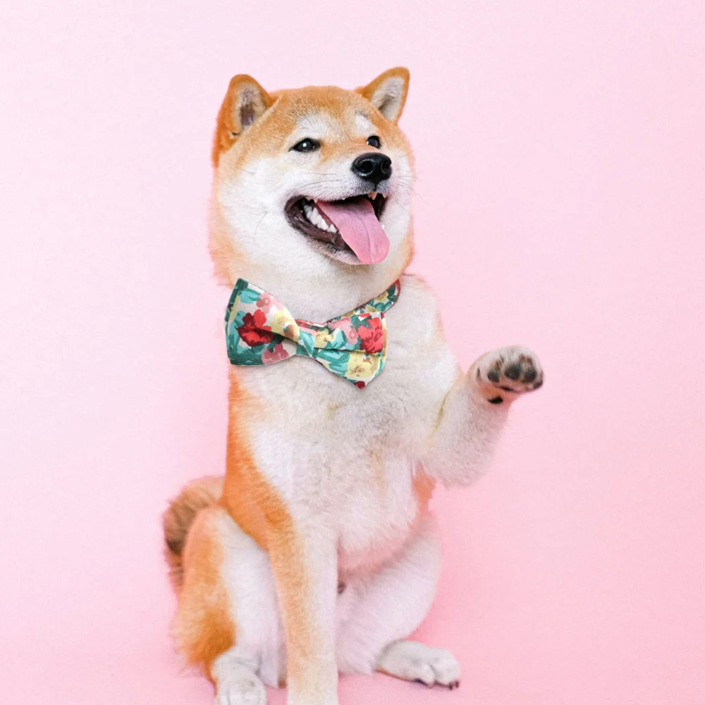 

Pet Bowknot Neckchain Decorative Neck Ring Adjustable Pet Collar Bell Neck Ring