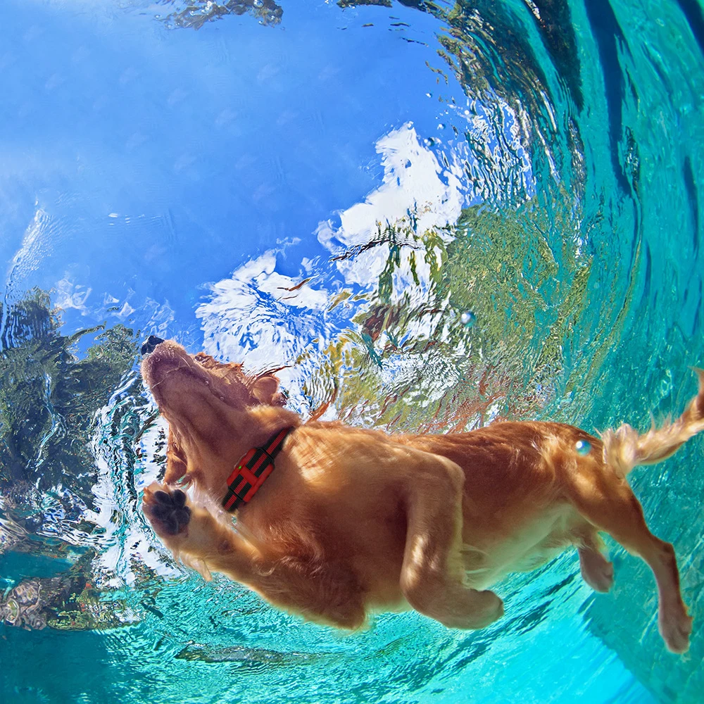 

500m Electric Dog Training Collar Pet Remote Control Waterproof Rechargeable with LCD Display for All Size Shock Vibration Sound