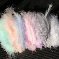 50 pcs 4 6 inches 10 15cm turkey feathers fluffy wedding dress diy craft jewelry decoration decorative accessories feathers