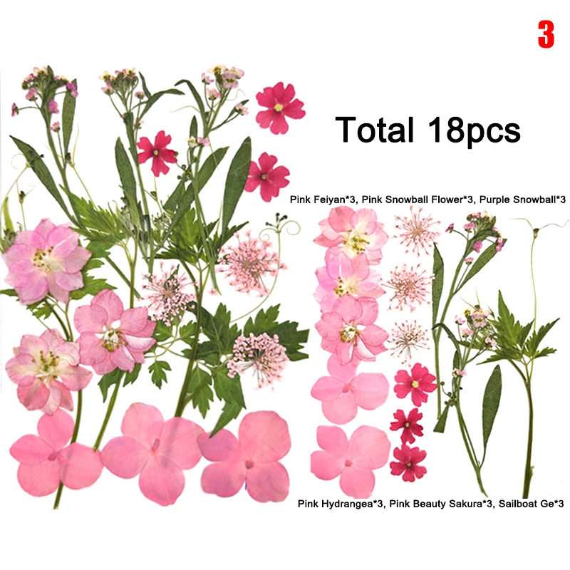 

Decorative Eye Dried Flowers Stickers Petal Makeup Bridal Makeup Floral Decors Collection Gift Craft DIY LB88