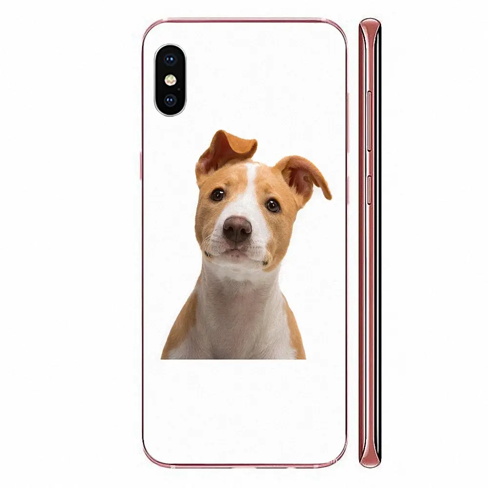Для Xiaomi CC9 CC9E Mi 3 4 4i 5 5S 6 6X 8 9 SE Play Plus Pro Lite A1 Mix 2 Note чехол Модный Джек Рассел Собака