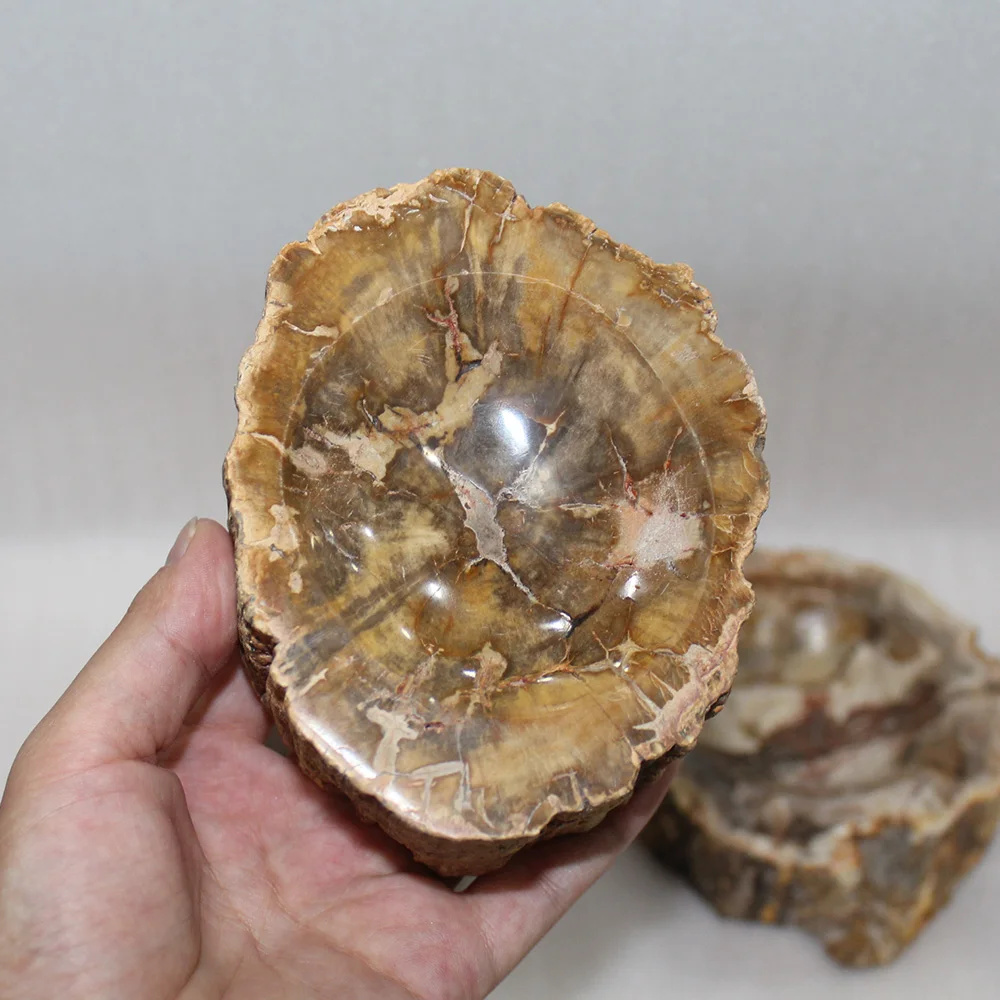 Runyangshi 1pc Beautiful natural wood fossil hand carved polished ashtray | Дом и сад
