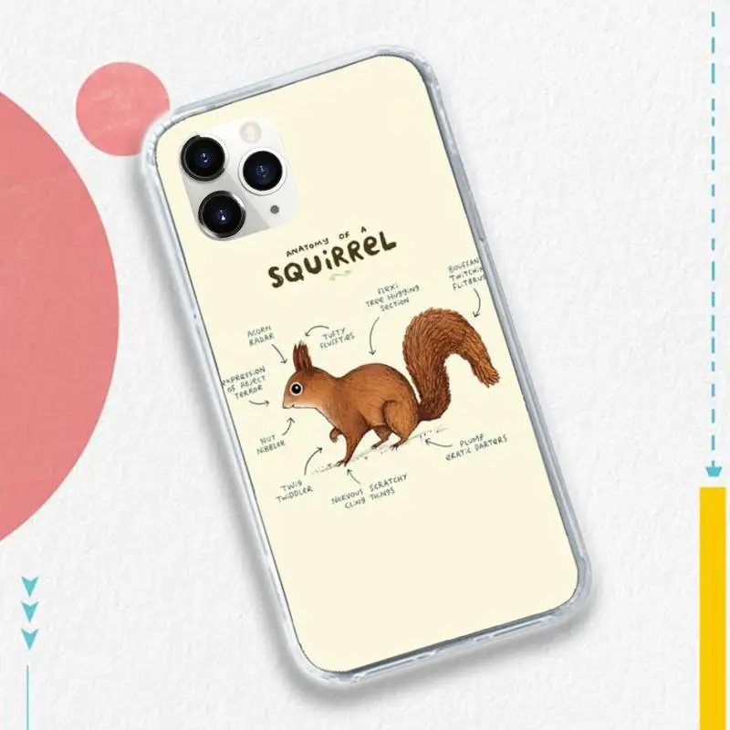 

Medicine animal anatomio style art Phone Case for iPhone 11 12 pro XS MAX 8 7 6 6S Plus X 5S SE 2020 XR