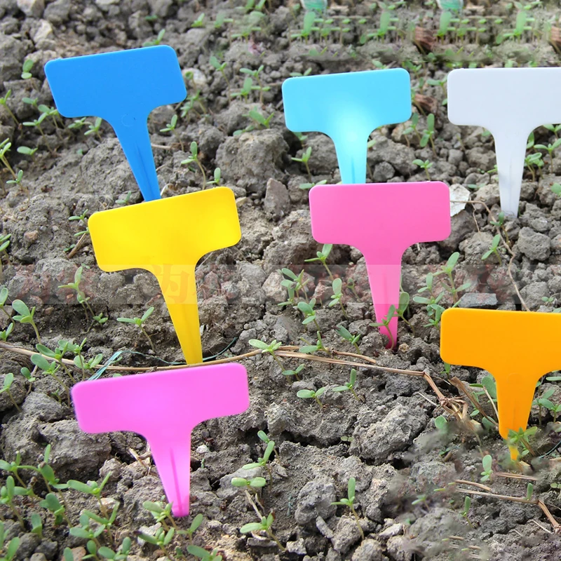

50pcs 6x10cm White Plastic PVC Plant T-type Tags Markers Nursery Garden Labels Nursery Pots Garden Decoration Tray