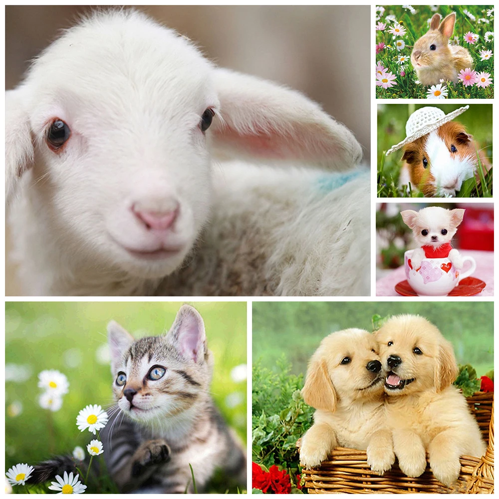 

5D DIY Diamond Painting Circle Full Character Cute Animal Mosaic Cross Stitch Mosaic Home Decor Label