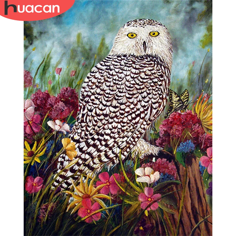 

HUACAN Oil Painting By Numbers Owl Animal Wall Art Unique Gift Hand Painted Picture By Numbers Flower Children's Room Decor