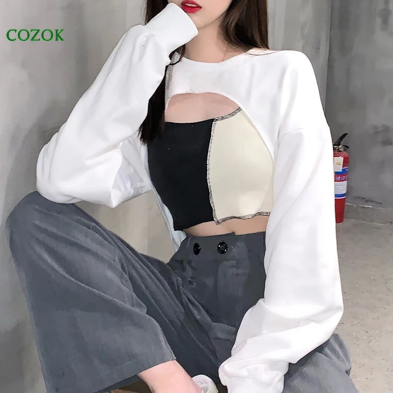 

Irregular brief paragraph the spring and autumn period and the han edition design feeling small white long-sleeved fleece