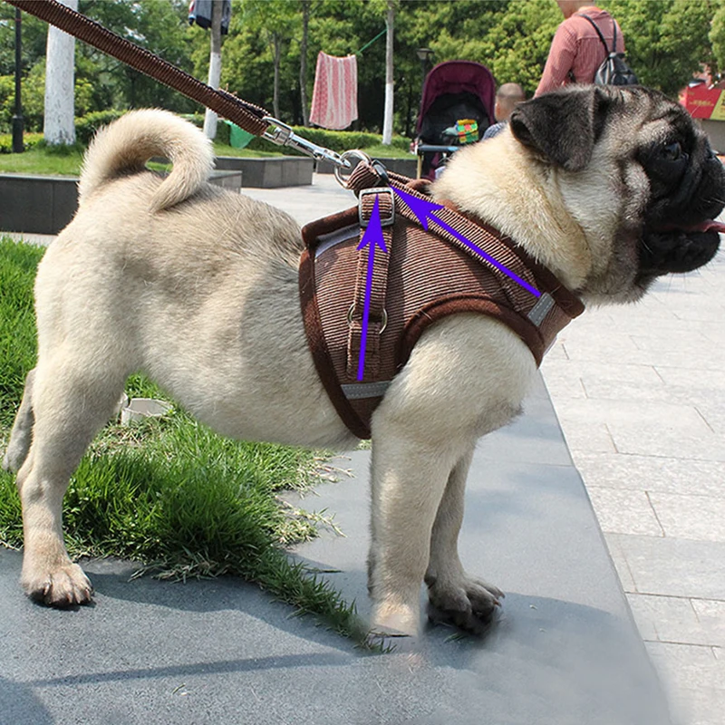 Сетка котенок щенок Светоотражающие собаки поводок и набор регулируемый