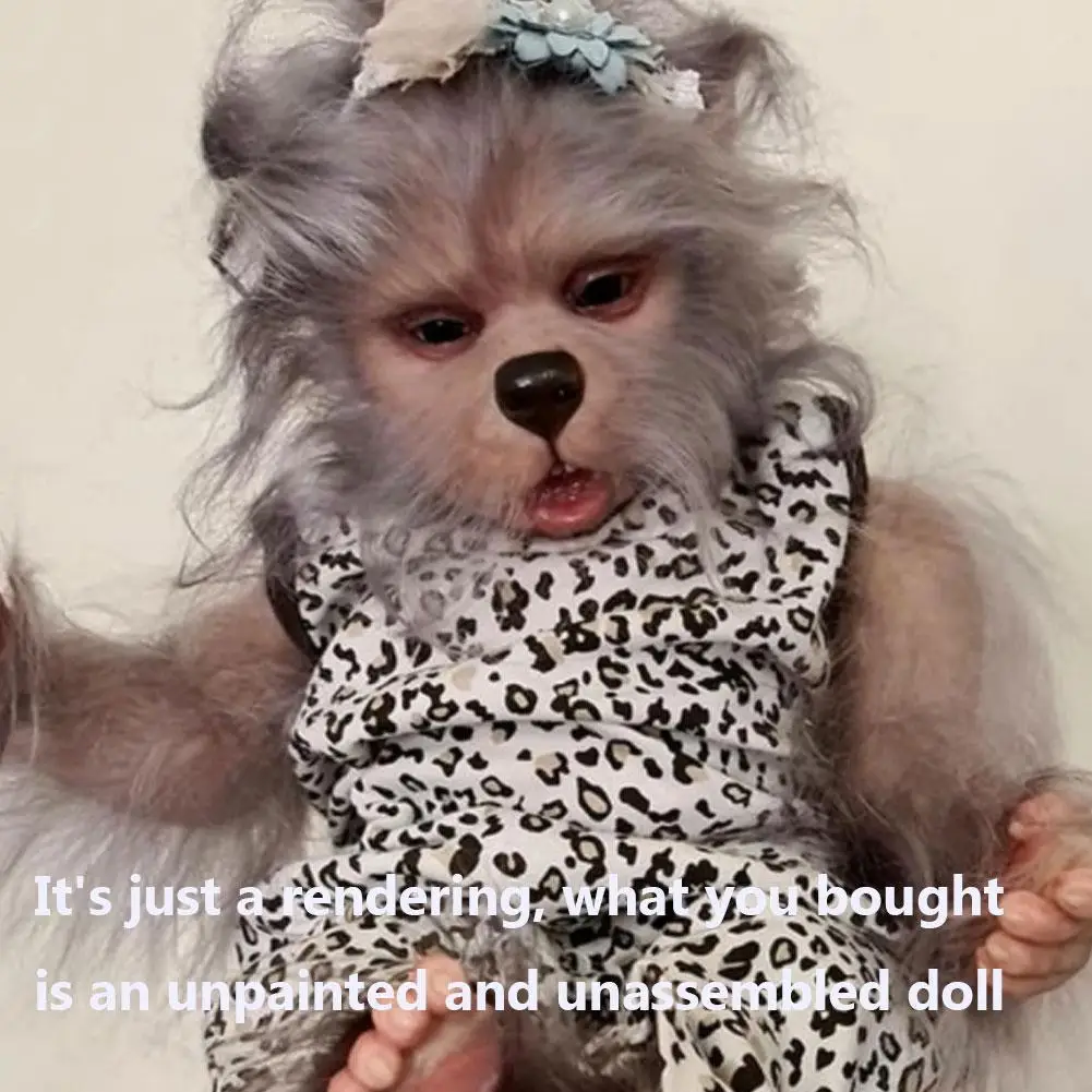 

Dolls & Accessories