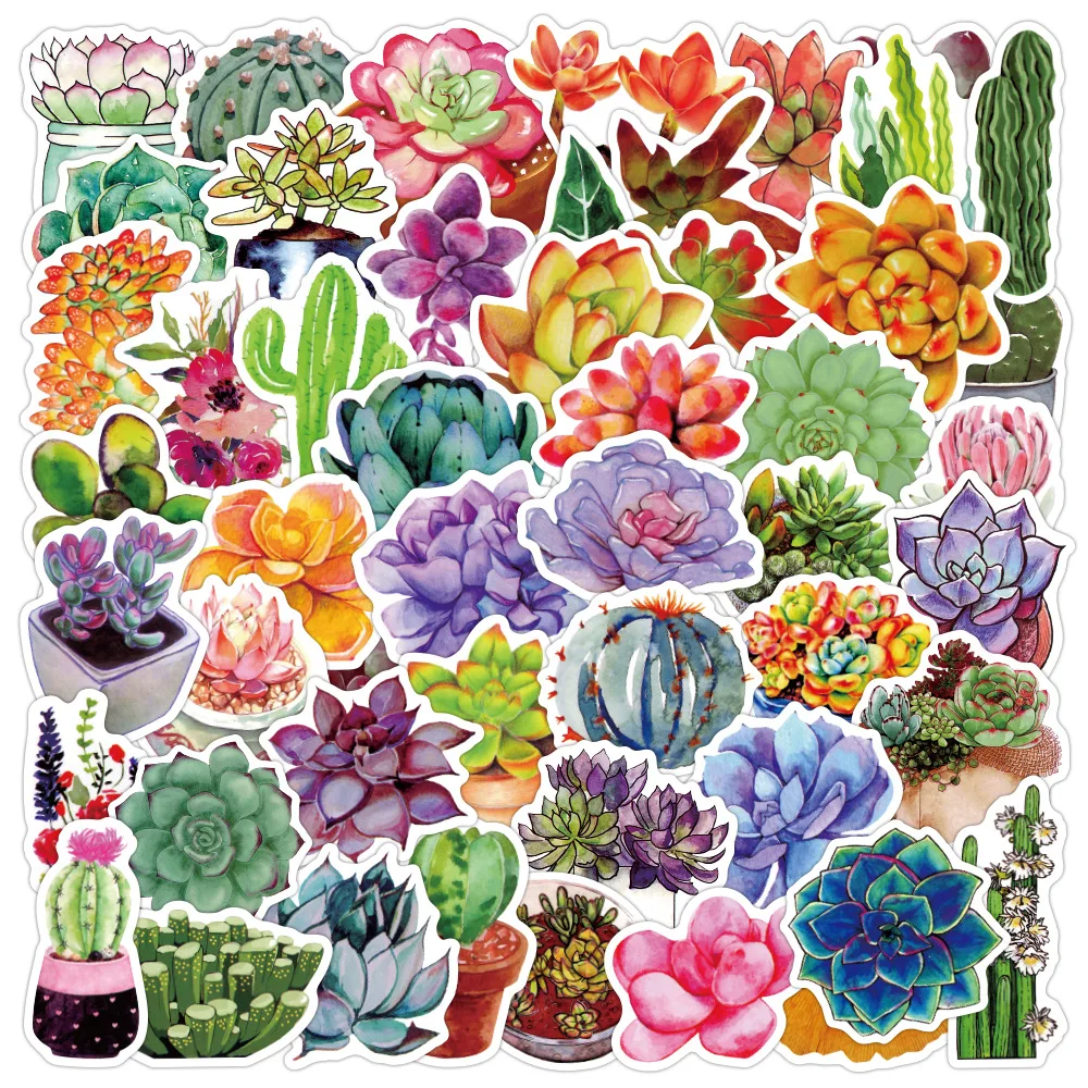 

50 cute succulents graffiti stickers for laptops, motorcycles, skateboards, computer luggage stickers