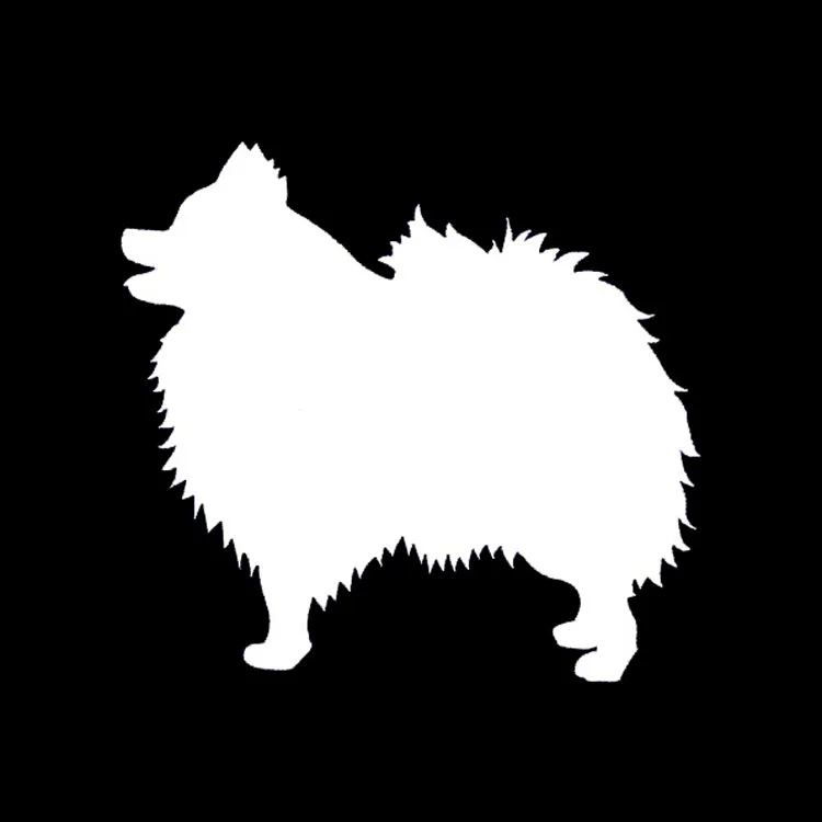 

14cmx13cm Funny pomeranian Car-Sticker Automobiles Motorcycles Window Bumper Laptop Vinyl Decal PVC Decorative Goods