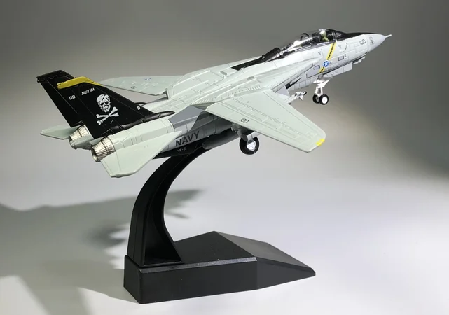 Amer Com US Navy Grumman F-14B Tomcat Jolly Rogers Fighter 1/100 литая модель