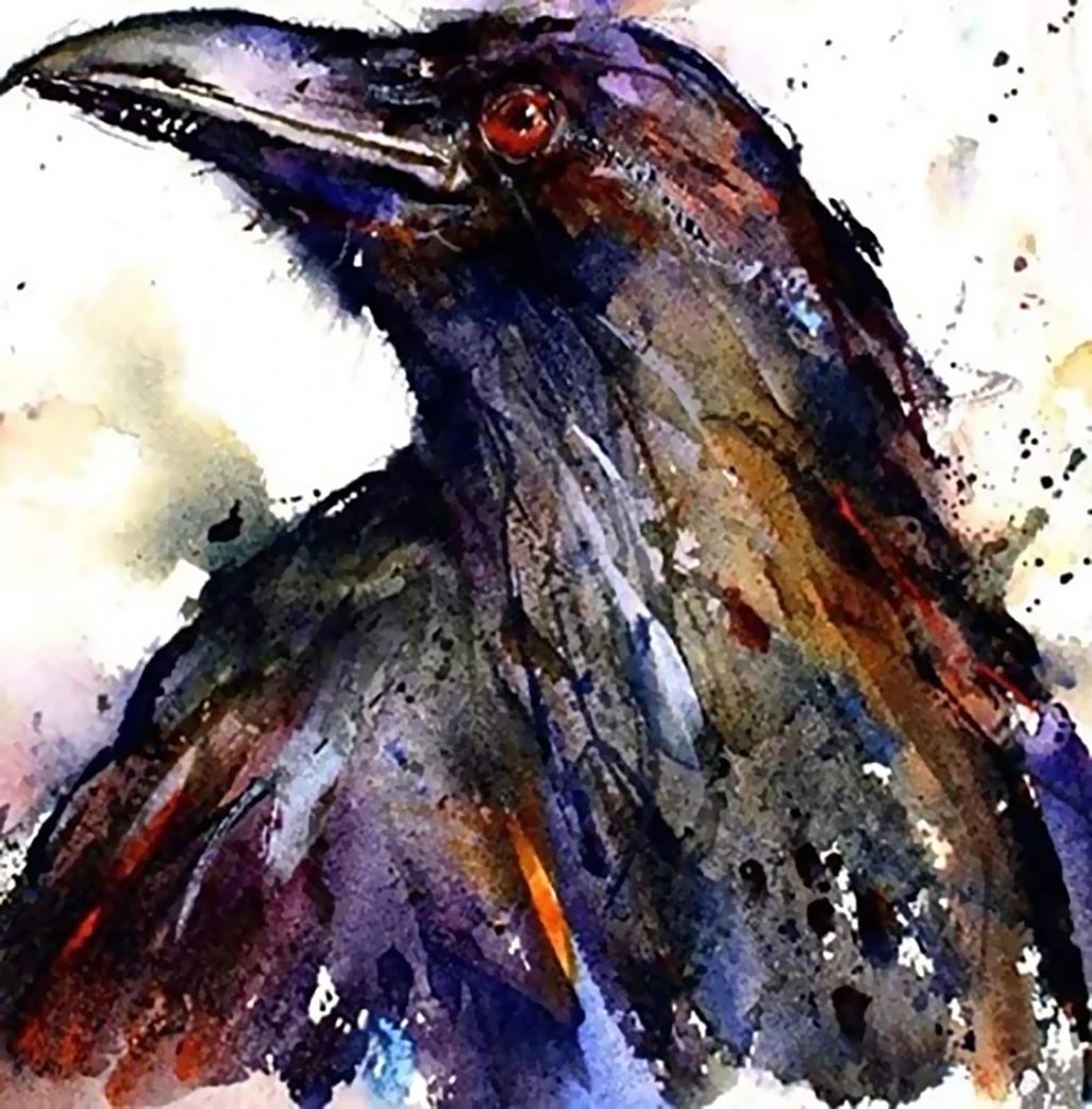 

DIY digital painting picture eagle hand-painted oil painting gift canvas painting and digital home decoration