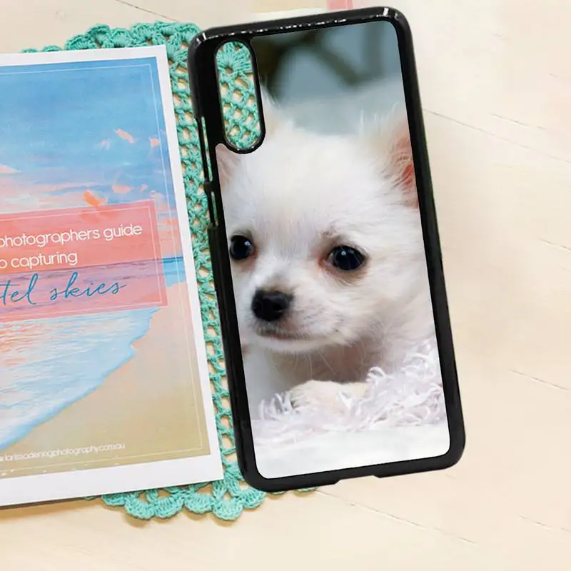 

Chihuahua dog cute animal high quality Phone Case shell PC for iPhone 11 12 pro XS MAX 8 7 6 6S Plus X 5S SE 2020 XR