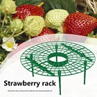 Пластиковая подставка для клубники, съемный цветочный столб для балкона, фотостойка для подъема фруктов, лозы