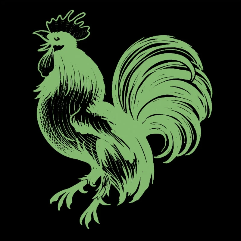 

Cock Patch Noctilucence deal with it Clothes Stickers Iron Ons Heat Transfer Printing Patches for Clothing Animal Pattern
