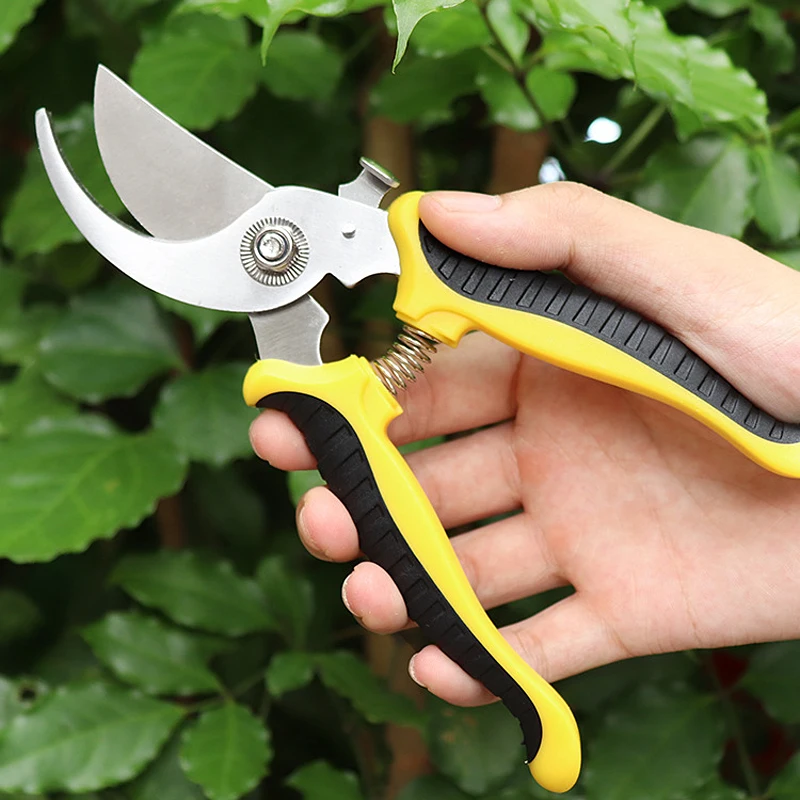 

Stainless Steel Pruning Shears Gardening Shears Fruit Tree Branches Garden Shears Garden Tools Bonsai For Gardening Pot Pruning