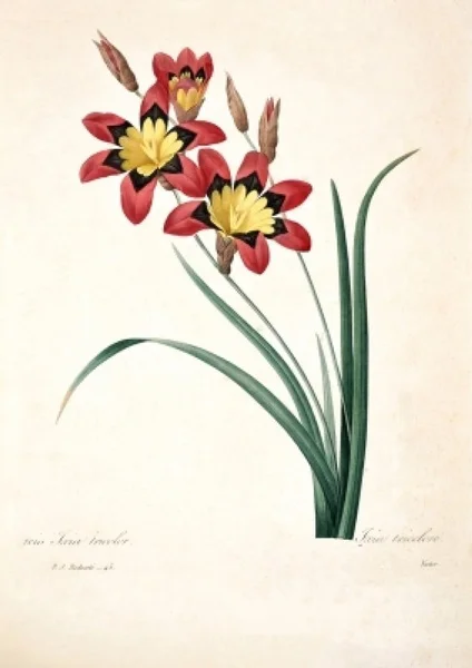 

Винтаж завод в настоящее время являетесь пользователем без премиум-класса, плакат металлический знак 8x12 дюймов Гостиная исследование Кухн...