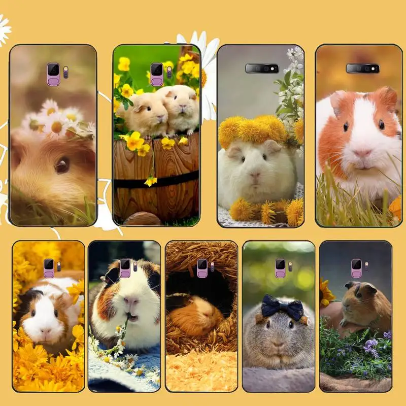

Guinea Pig cute animal Phone Case For Samsung galaxy A S note 10 7 8 9 20 30 31 40 50 51 70 71 21 s ultra plus