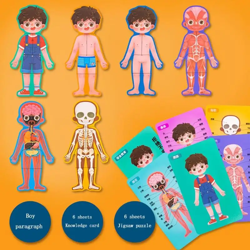 Малыш Boby познание игрушка Монтессори человеческого тела Структура головоломка в