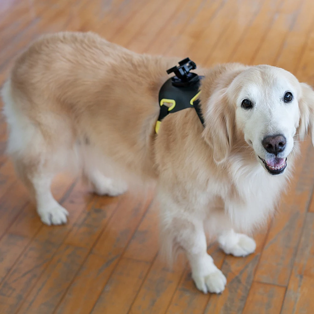 Экшн камера с креплением для собак экшн Sony в виде камер функцией AS300V AS200V AS50V |Чехлы