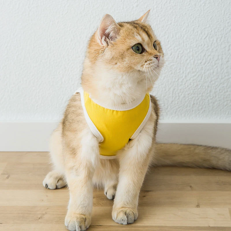 Лето жилет 2021 Новый Pet T крови рубашка светильник и дышащие Носки с рисунком кота