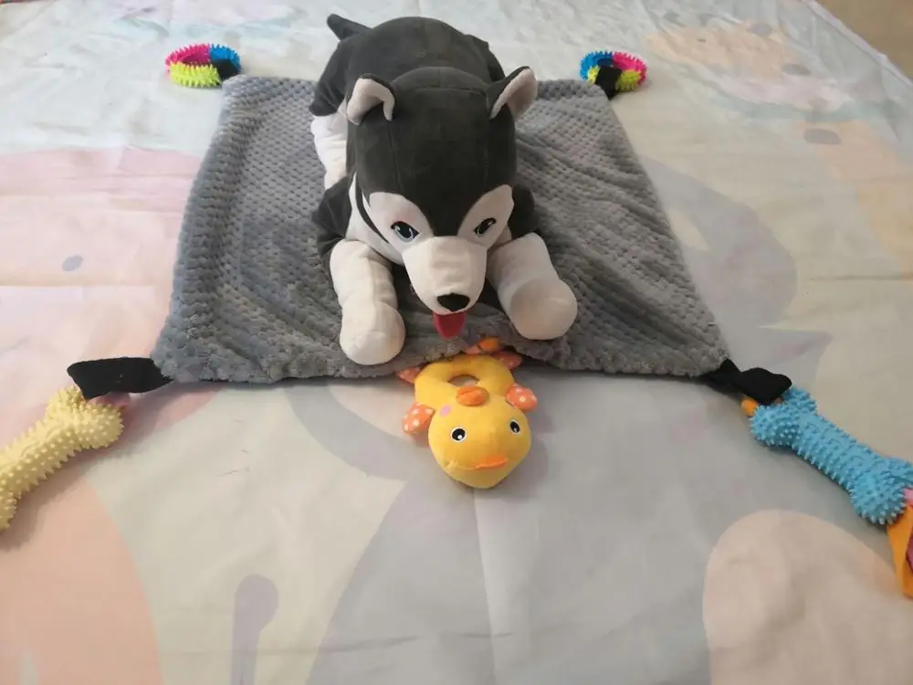 Милый мягкий мультяшный коврик для кошек домашних питомцев С игрушечным пищащим