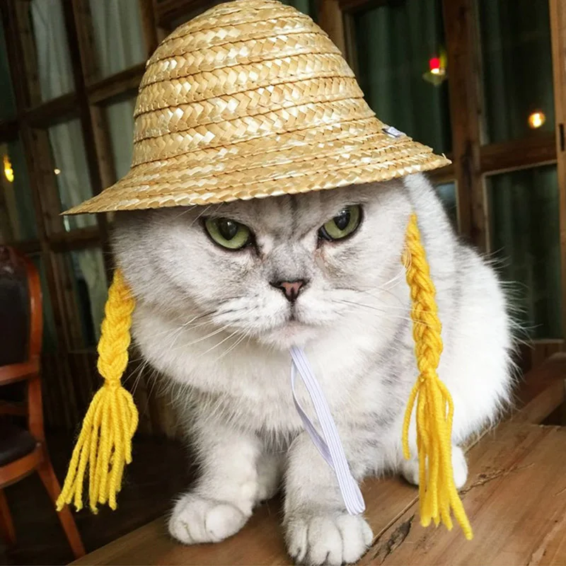 Собака бейсболка с кошкой летняя крутая модная соломенная шляпа на открытом воздухе невыгорающий котенок щенок для домашних животных аксессуары для маленьких собак и кошек пляжные Вечерние - Цвет: 3875