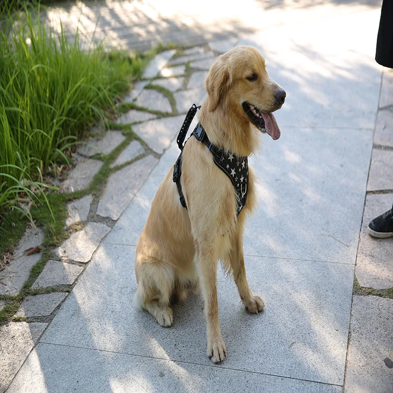 Светоотражающий Жилет для собак Регулируемая мягкая шлейка средних и больших
