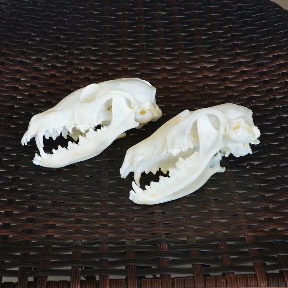 Украшение на Рождество 1 шт. 2 5 10 | Дом и сад