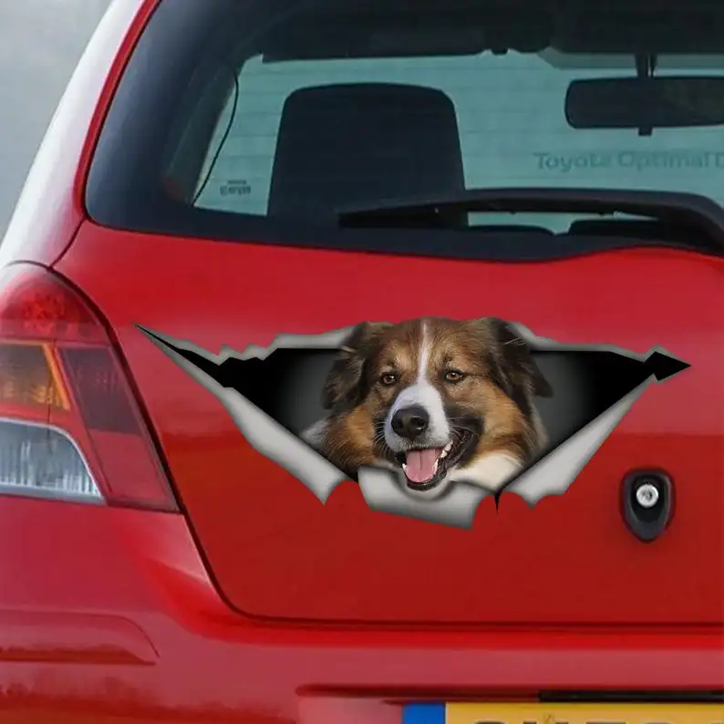 

2021 English shepherd decal, English shepherd magnet, pet car decal, english shepherd sticker
