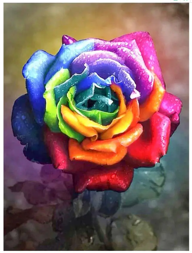 Полностью сверла Алмазная вышивка красочная Роза Диаманд картина цветок