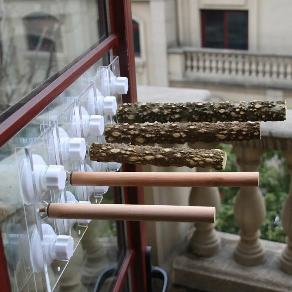 Деревянная стойка Палка с птичьим попугаем присоска для душа окуляр стержень