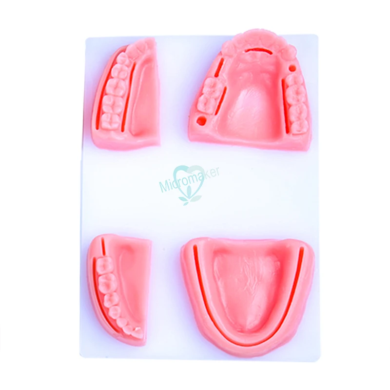 Моделирование зубных протезов модель швов для полости рта с иглой обучающее