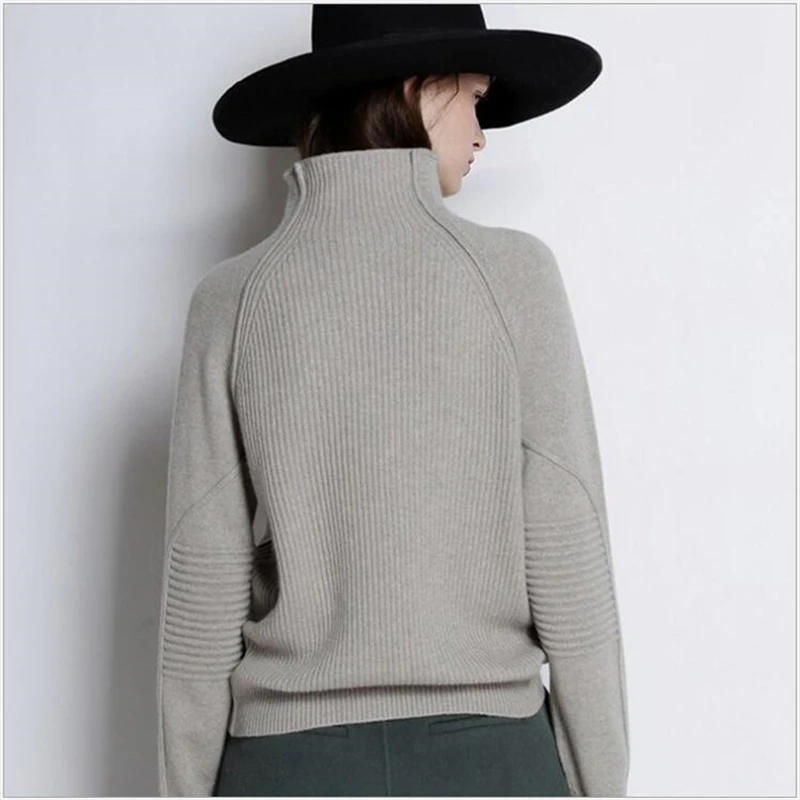 Autumn Winter Women Knit Sweater High Collar Long Sleeve Pullover Tops Thick Warm Loose Female Wild Bottoming Sweaters Plus Size S105 |