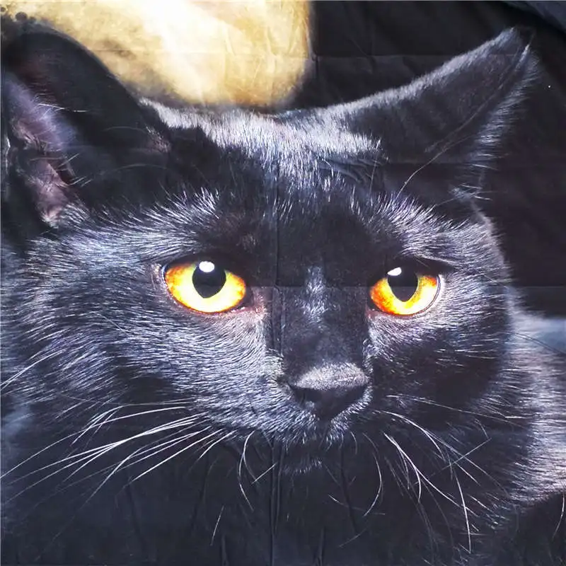 Набор постельного белья с изображением черного кота 3D одеяло/пододеяльник животных Двухслойное постельное