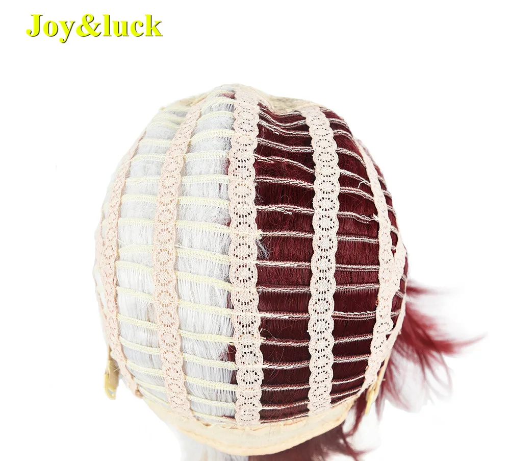 Joy&ampluck My Hero Academia Shoto Todoroki Cosplay Wig Short Synthetic Costume Half Red and White Color for Part |