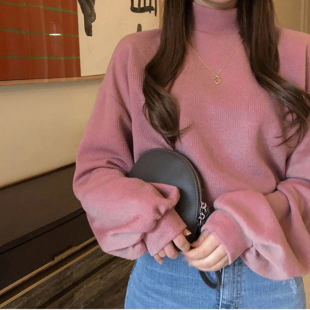 

Korean Autumn Winter Turtleneck Hoodies Women Sweatshirts Lantern Sleeve Loose Vestidos Streetwear Pull Femme Casual Hoodies