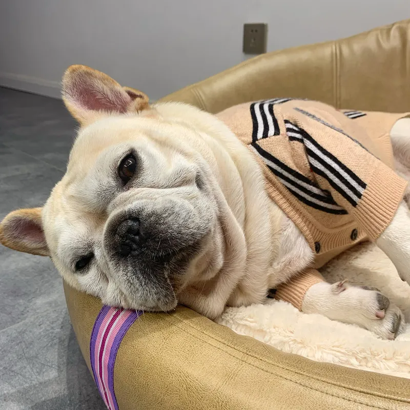 

Fashion Striped Cardigan Dog Sweater for Small Medium Dogs Winter Schnauzer Sweaters Pets Dogs Cats Clothing Dropshipping A154