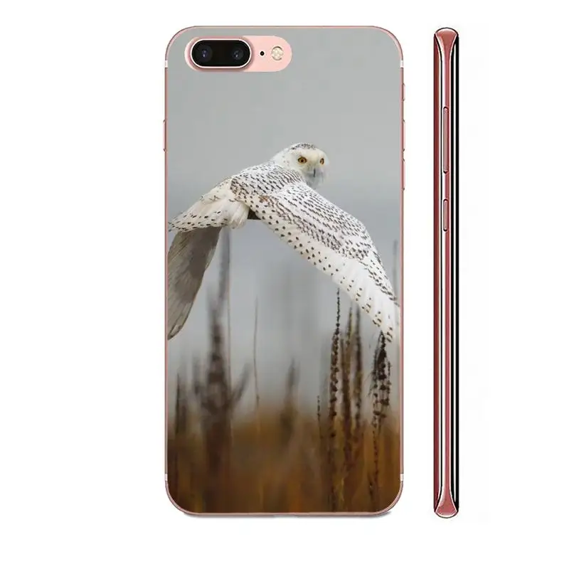 Красивые летающие совы для Samsung Galaxy Note 8 9 10 Pro S4 S5 S6 S7 S8 S9 S10 S11 S11E S20 Edge Plus Ultra Diy