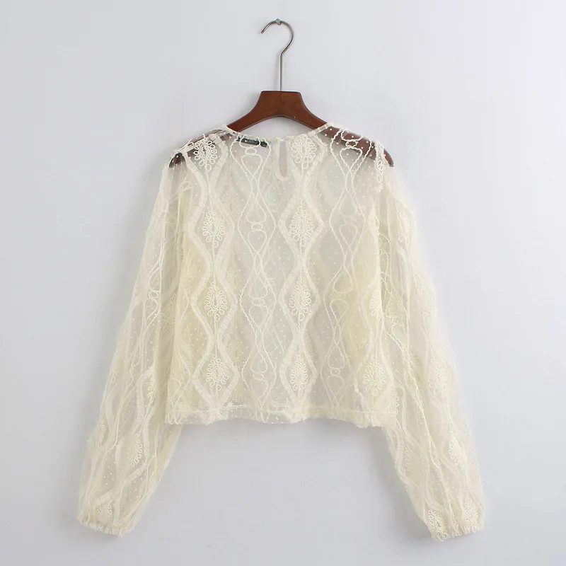 Прозрачная женская блузка Осень 2010 Весна Новая мода Блестящий пуловер рубашка