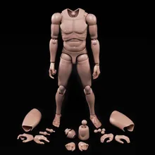 MX02-A 1/6  Europe Skin Male Action Figure 12 Soldier Body Fit 1:6 Head Sculpt Model Toy